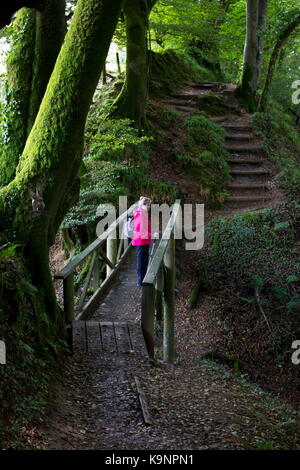 Female walker in red standing on a wooden bridge River Lyd Lydford Gorge Lydford Devon England Stock Photo