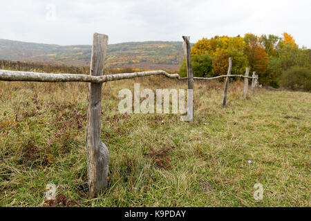 eco lifestyle, country, livestock concept. from one side of pasture there is simple fence that was made for cattle using just old and dried banches and boards, they are fastened with rusty wire Stock Photo