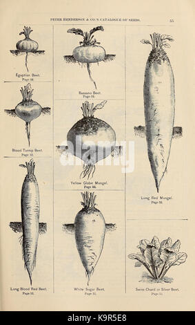 Peter Henderson and Co's seed catalogue (16435269751) Stock Photo