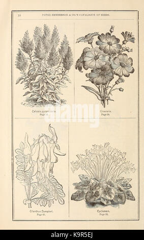 Peter Henderson and Co's seed catalogue (15816950513) Stock Photo