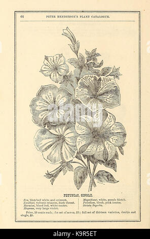 Peter Henderson's spring catalogue of new, rare, and beautiful plants for 1872 (16435036411) Stock Photo