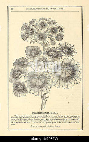 Peter Henderson's spring catalogue of new, rare, and beautiful plants for 1872 (15814271084) Stock Photo