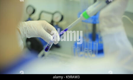 Test tubes closeup. Medical equipment. Close-up footage of a scientist using a micro pipette in a laboratory. Laboratory technician injecting liquid into a microtiter plate. Test tubes. Small depth of field. Stock Photo