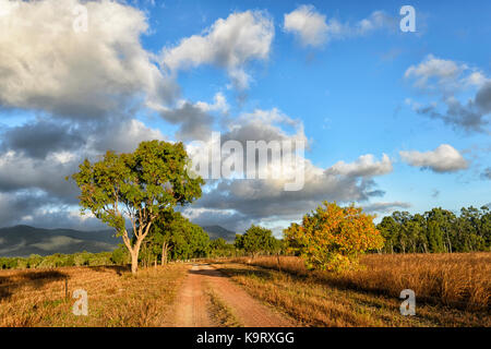 View of Mt Carbine countryside, Far North Queensland, FNQ, QLD, Australia Stock Photo