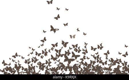 butterflies black vector Stock Vector