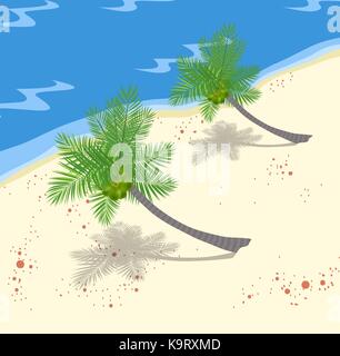 Coconuts Tree On The Beach Stock Vector