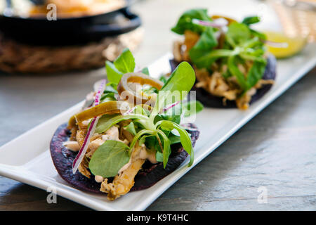 Blue tacos with chicken, lamb lettuce, red onions and jalapeno peppers Stock Photo