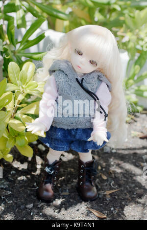 Doll redin bjd Stock Photo