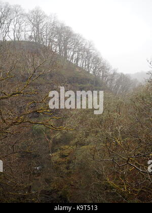 Wild welsh river valley in winter Stock Photo
