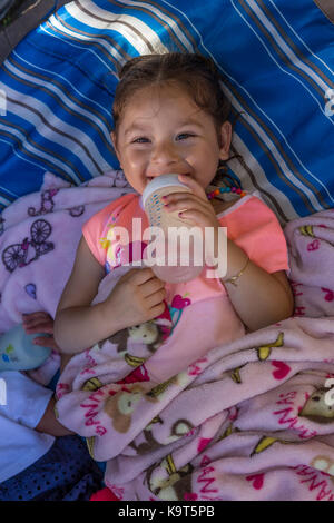1, one, Hispanic girl, girl drinking from baby bottle, Castro Valley, Alameda County, California, United States, North America Stock Photo