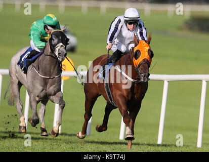 Tylery Wonder ridden by Leigh Roche (right) on the way to winning the Joe McGrath Handicap at Naas Racecourse. Stock Photo