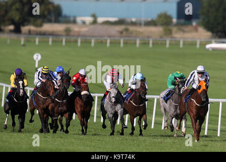 Tylery Wonder ridden by Leigh Roche (right) on the way to winning the Joe McGrath Handicap at Naas Racecourse. Stock Photo