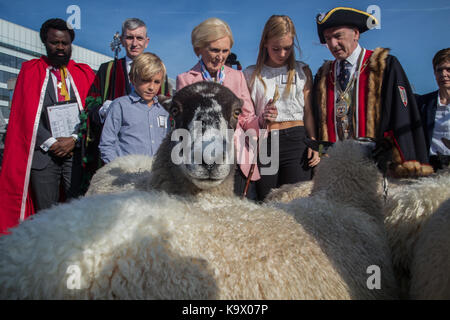 London, UK. 24 September 2017. Celebrity chef Mary Berry joins Freeman of the City of London driving sheep over London Bridge, practising an ancient rite and raising money for the Lord Mayor’s Appeal and the Woolmen's Charitable Trust. Credit: On Sight Photographic/Alamy Live News Stock Photo