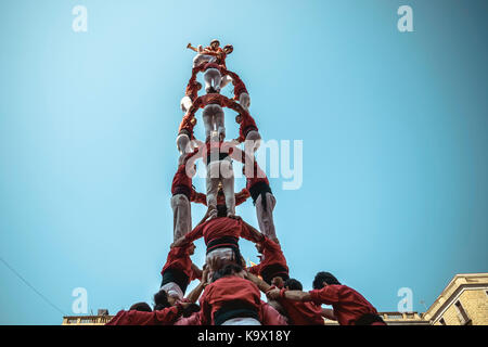 Barcelona, Spain. 24 September, 2017:  The 'Castellers de Barcelona' build one of their human towers during Barcelona's city holiday 'La Merce' Credit: Matthias Oesterle/Alamy Live News Stock Photo