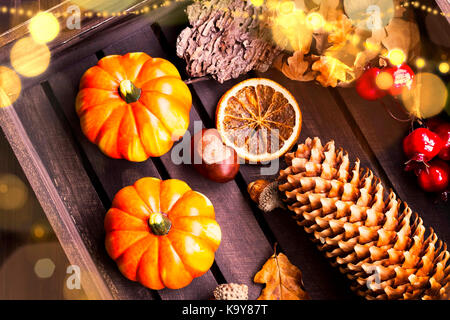 Flatlay of pumpkins fall decoration, halloween celebration decorations with festive pumkins, chestnuts and acorns assortment with lights Stock Photo