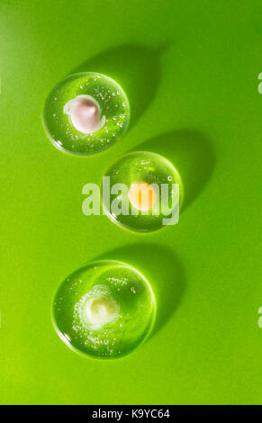 Three drops of cosmetic clear gel with various creams on a green background. The concept of biological compatibility of products with human skin Stock Photo