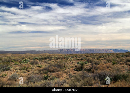 Beautiful Southwestern Landscape in Big Bend National Park in the State of Texas