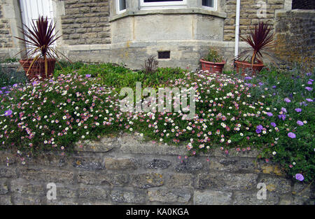 Garden,Nunney Road, Frome, UK Stock Photo