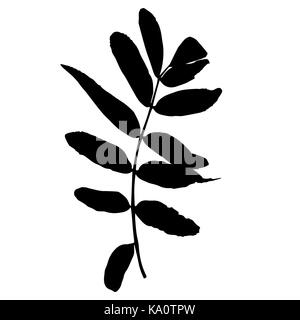 Naturalistic autumn leaves on White. Vector Illustration. Stock Vector