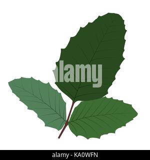 Naturalistic autumn leaves on White. Vector Illustration. Stock Vector