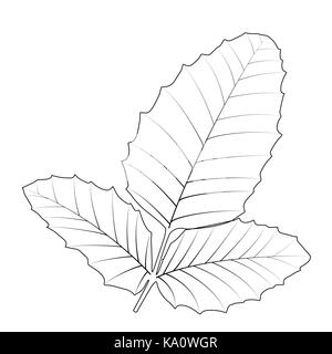 Naturalistic autumn leaves on White. Vector Illustration. Stock Vector