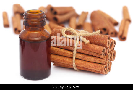 Bunch of some fresh aromatic cinnamon with essential oil in a bottle Stock Photo