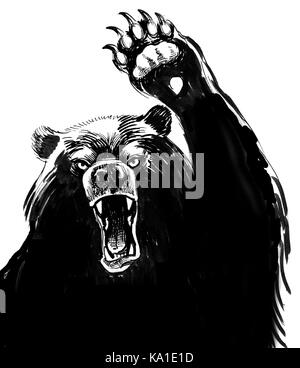 Angry black bear Stock Photo