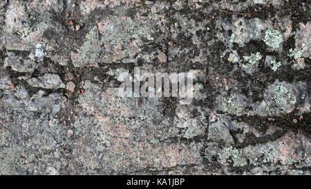 Distressed grey and red granite with moss and lichens, close -up Stock Photo
