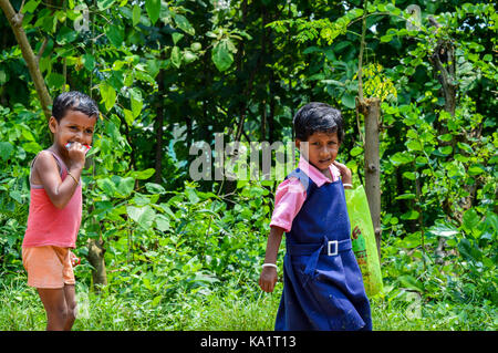 Angul, odisha, India - SEPTEMBER 1, 2017: A village young girl walking towards her school in Angul district of odisha state in india. Stock Photo