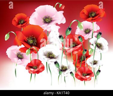 Beautiful bright color poppies on red background Stock Vector