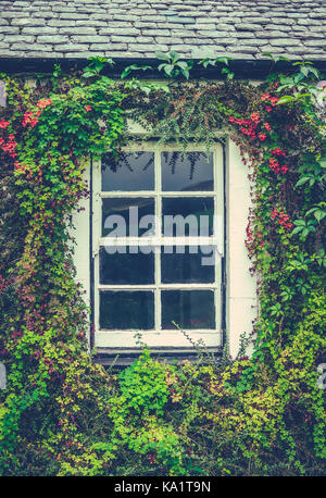 Detail Of A Window On An Old Cottage In England With A Lovely Floral Border Stock Photo