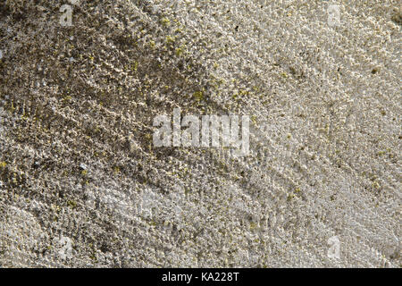 uneven concrete background texture. rough facade with moss Stock Photo