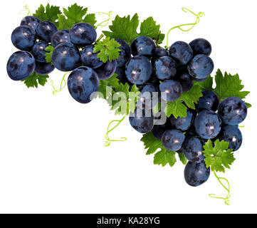 grapes isolated on the white background Stock Photo