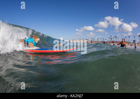 Ca, Usa. 23rd Sep, 2017. Surf City Surf Dog returns to Huntington Beach ...