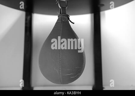 used speed bag