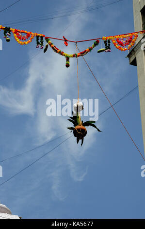 janmashtami festival, mumbai, maharashtra, India, Asia - RMM 258528 Stock Photo