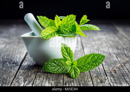 branch mint leaves in mortar. Stock Photo
