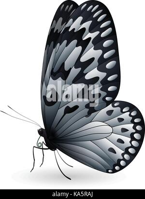 Beautiful butterfly isolated on a white background Stock Vector