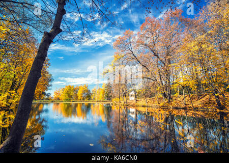 Sunny autumn in the park over lake Stock Photo