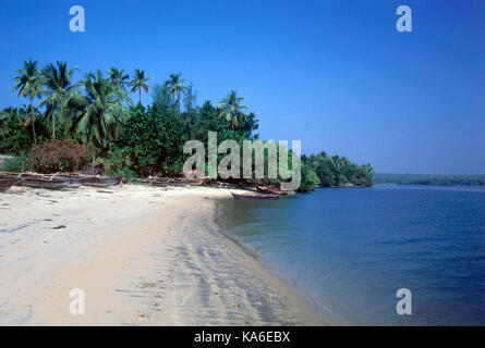 Devgad beach, sindhudurg, maharashtra, India, Asia Stock Photo