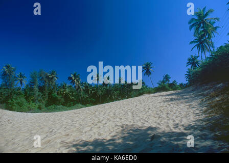 vengurla beach, sindhudurg, maharashtra, India, Asia - stp 258945 Stock Photo