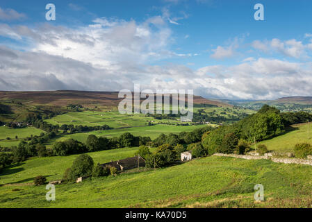 Beautiful countryside near Grinton in Lower Swaledale, Yorkshire Dales, England. Stock Photo