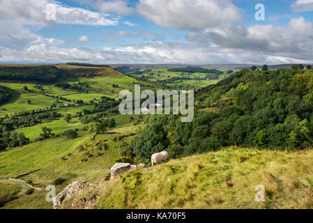 View from Whitcliff Scar near Richmond, Swaledale, North Yorkshire, England. Stock Photo