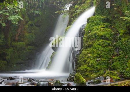 Venford Falls, double cascade waterfall amongst gorge of luxuriant ferns and mosses in Dartmoor National Park, Devon, UK in September Stock Photo