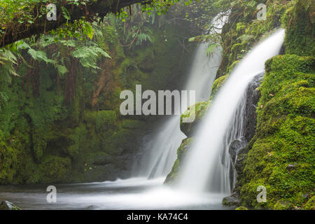 Venford Falls, double cascade waterfall amongst gorge of luxuriant ferns and mosses in Dartmoor National Park, Devon, UK in September Stock Photo