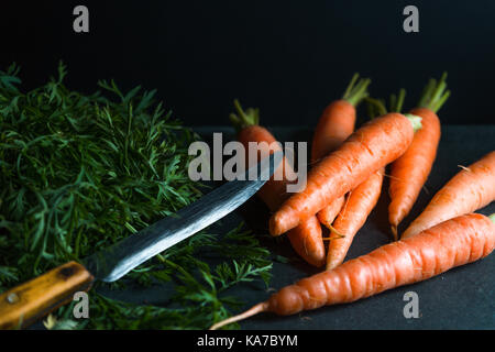 Orange carrots, leaves and a knife on a dark blue background horizontal Stock Photo