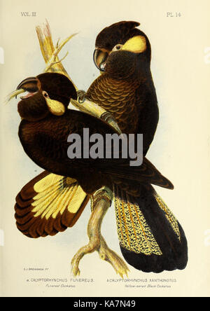 The birds of Australia (16678987789) Stock Photo