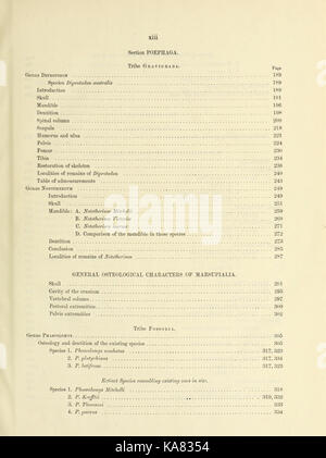 Researches on the fossil remains of the extinct mammals of Australia BHL43607554 Stock Photo