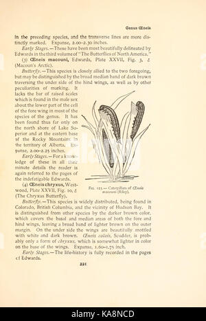 The butterfly book (Page 221, Fig. 123) BHL4428574 Stock Photo