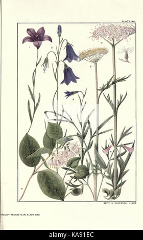 Formosa Native This image illustrates various plant species native to Formosa (modern ...